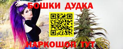 индика Балаково