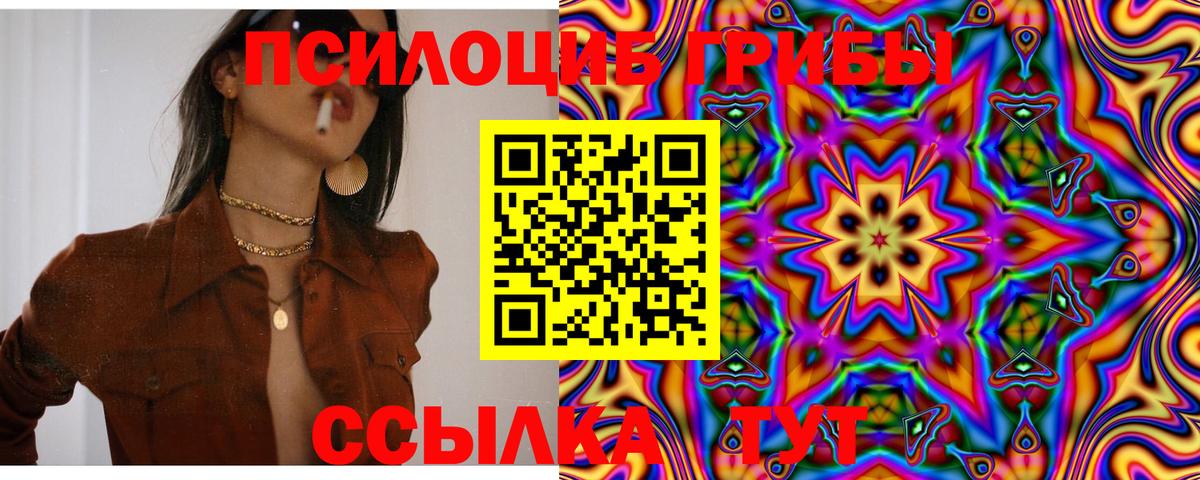 Псилоцибиновые грибы Magic Shrooms  Вход с VPN  как найти наркотики  Псилоцибиновые грибы ЛСД  Домодедово 
